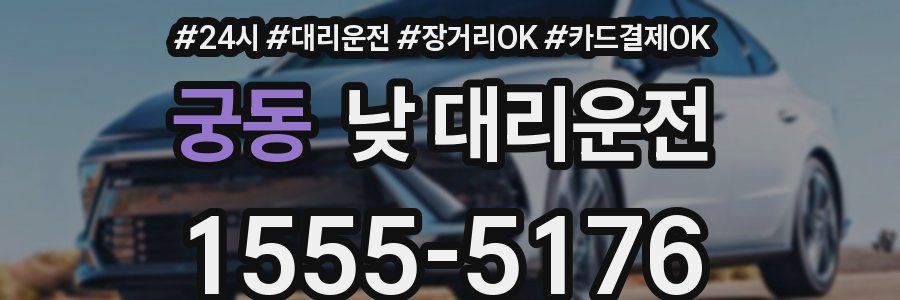 궁동 낮 대리운전