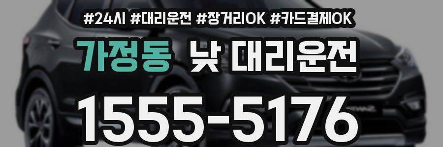 가정동 낮 대리운전