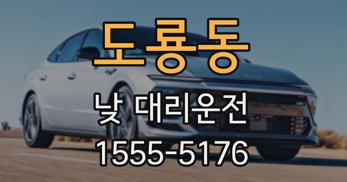 도룡동 낮 대리운전