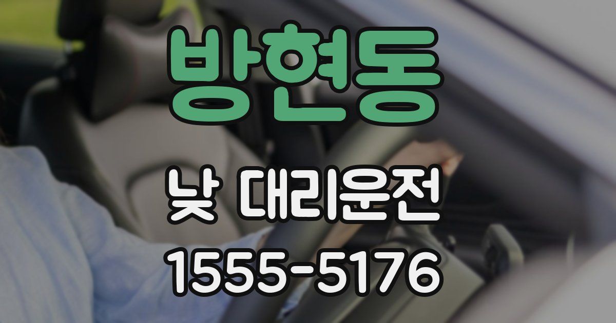 방현동 낮 대리운전