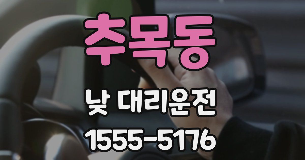 추목동 낮 대리운전