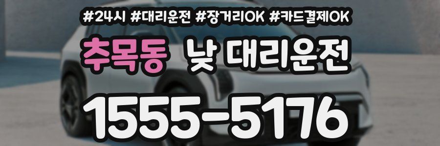 추목동 낮 대리운전