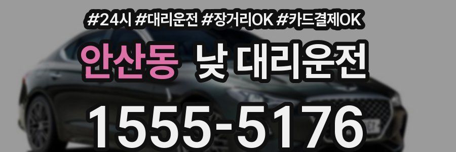 안산동 낮 대리운전