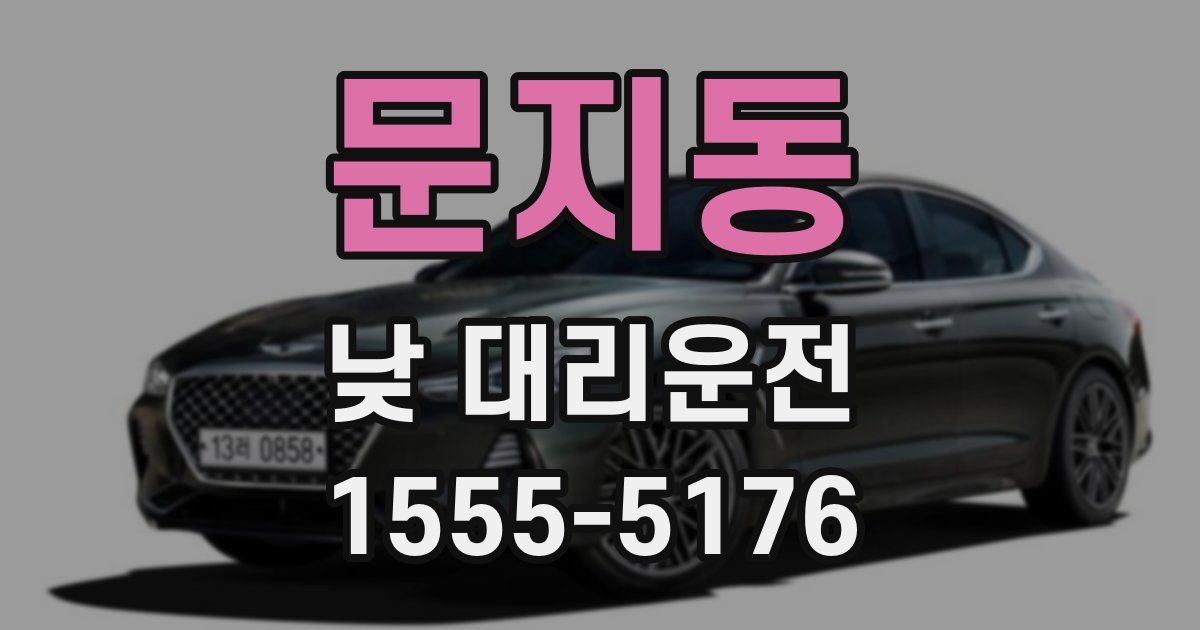 문지동 낮 대리운전