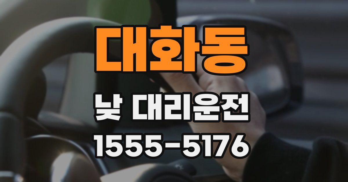 대화동 낮 대리운전