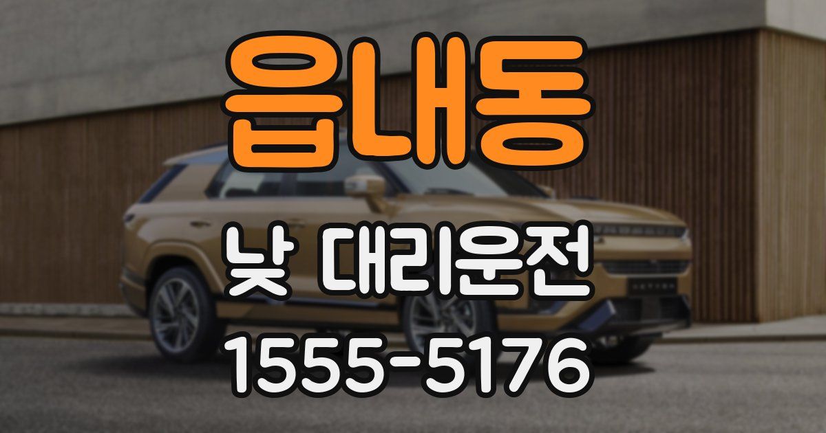 읍내동 낮 대리운전