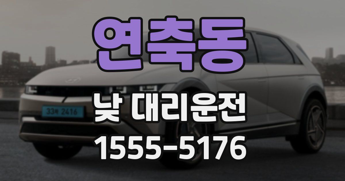 연축동 낮 대리운전