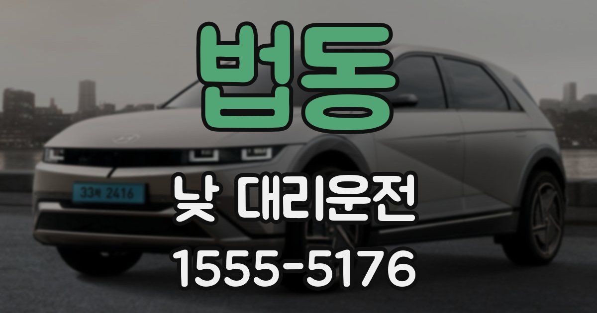 법동 낮 대리운전