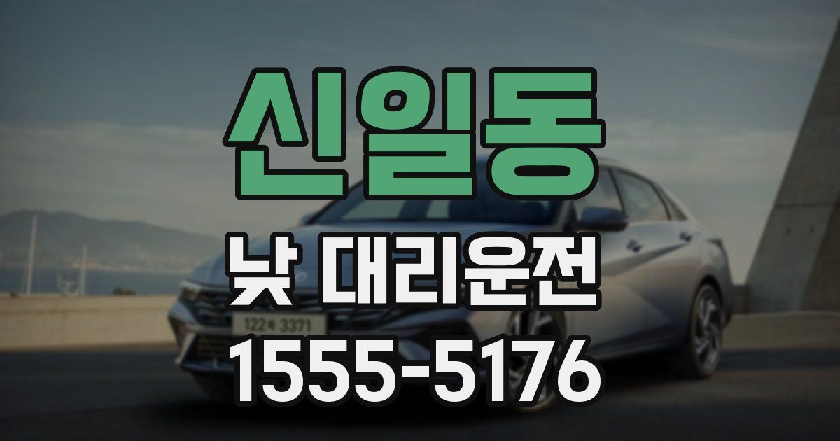 신일동 낮 대리운전