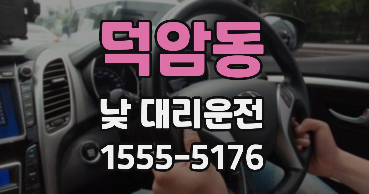 덕암동 낮 대리운전