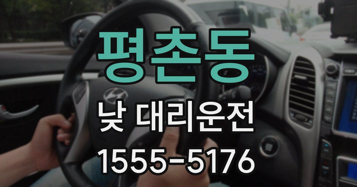 평촌동 낮 대리운전