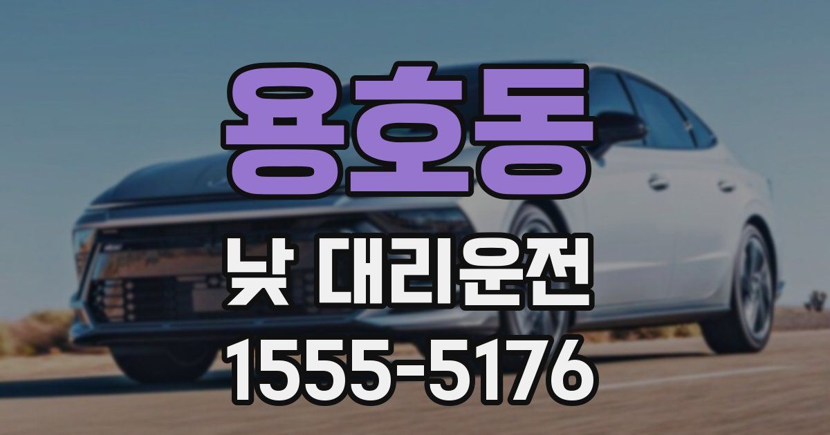 용호동 낮 대리운전