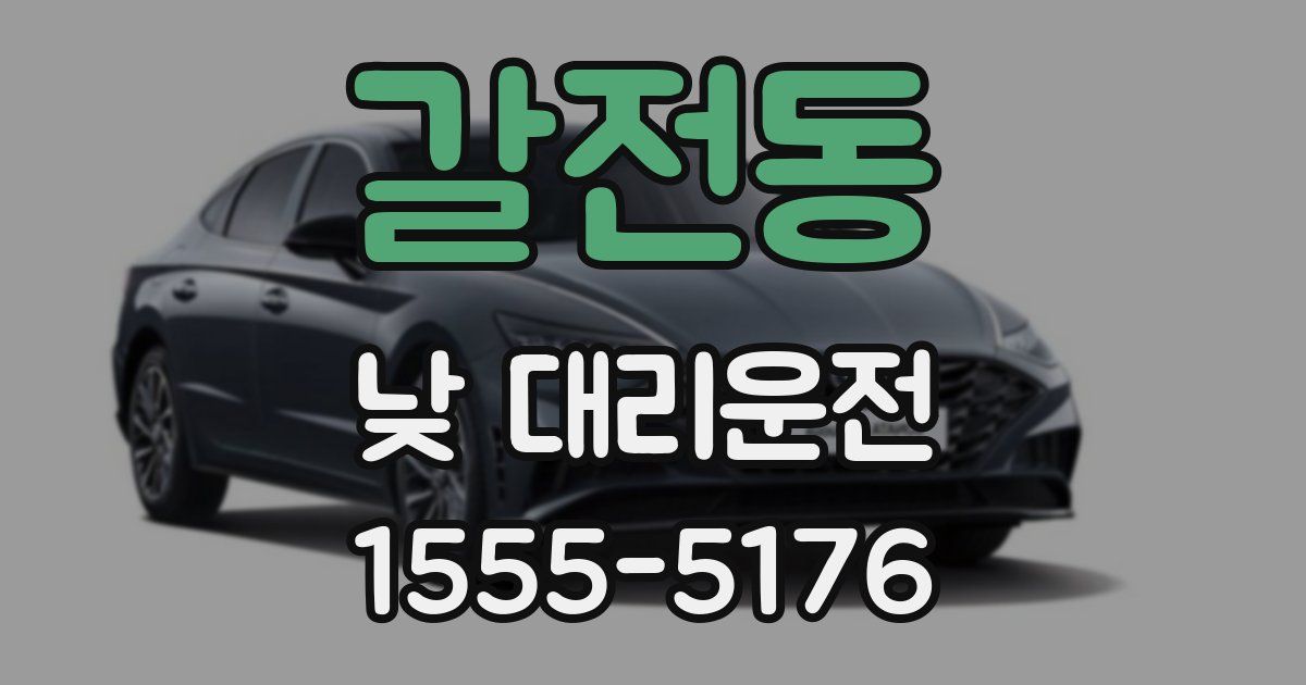 갈전동 낮 대리운전