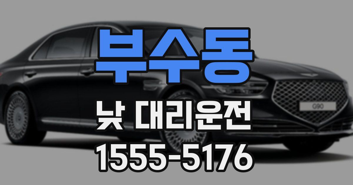 부수동 낮 대리운전