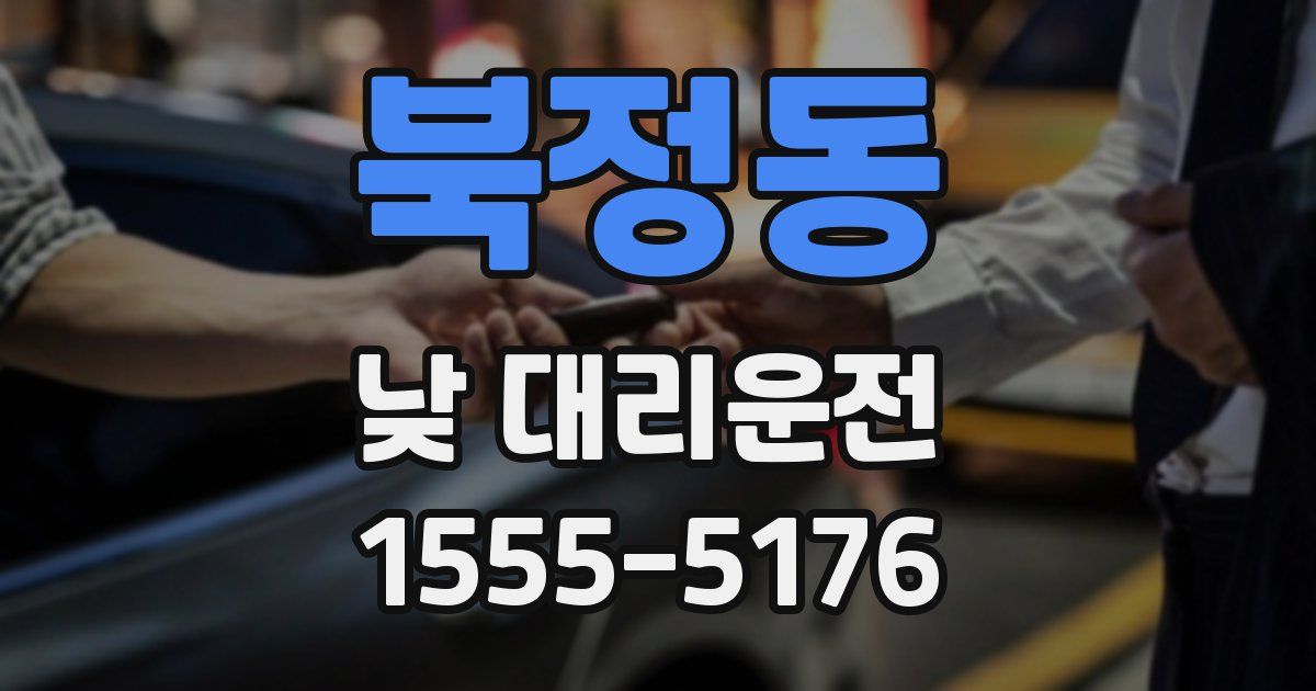 북정동 낮 대리운전