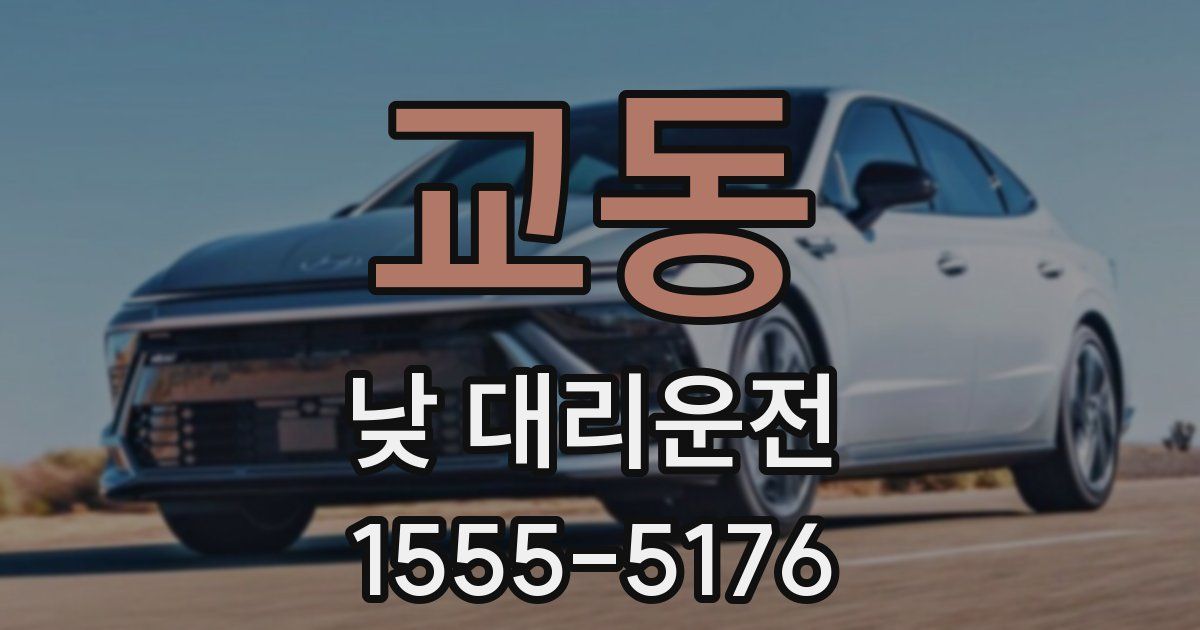 교동 낮 대리운전