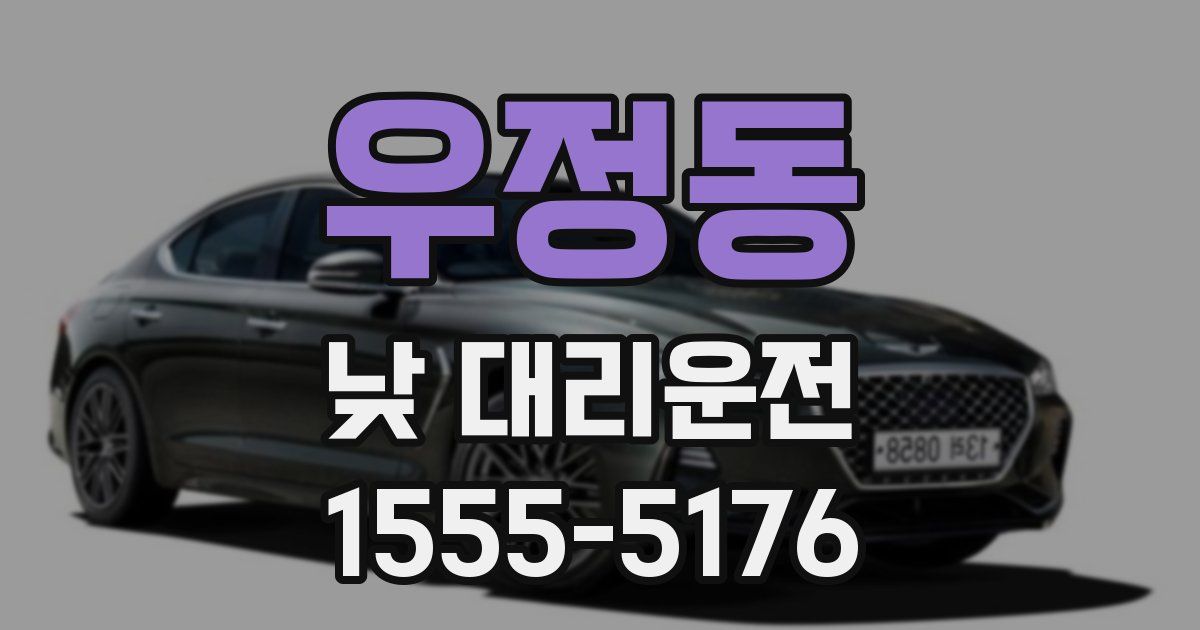 우정동 낮 대리운전