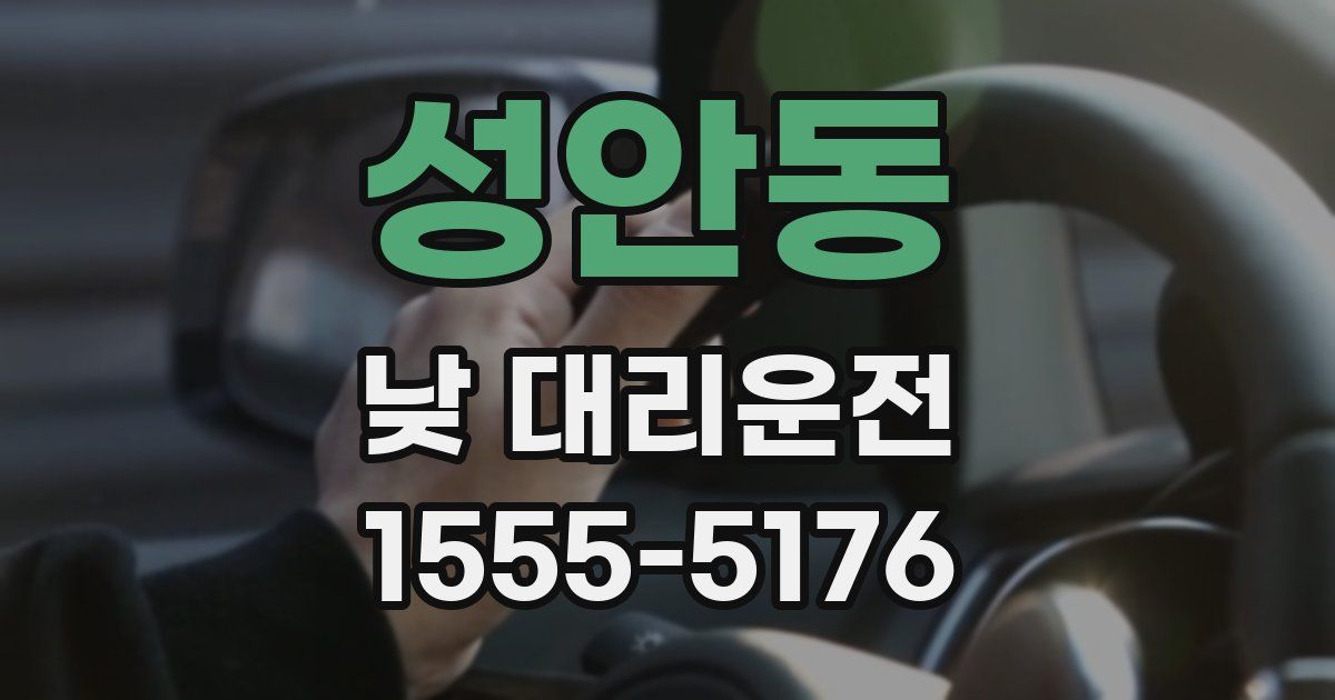 성안동 낮 대리운전