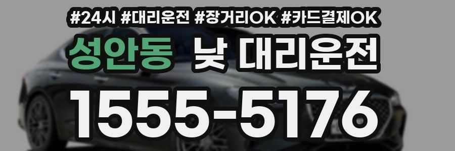 성안동 낮 대리운전