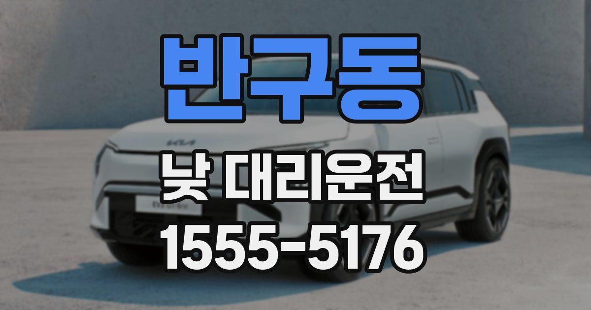 반구동 낮 대리운전
