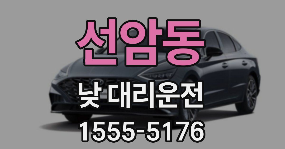 선암동 낮 대리운전