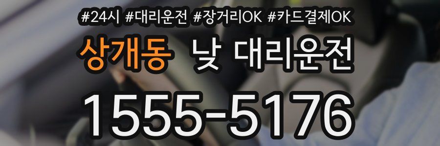 상개동 낮 대리운전