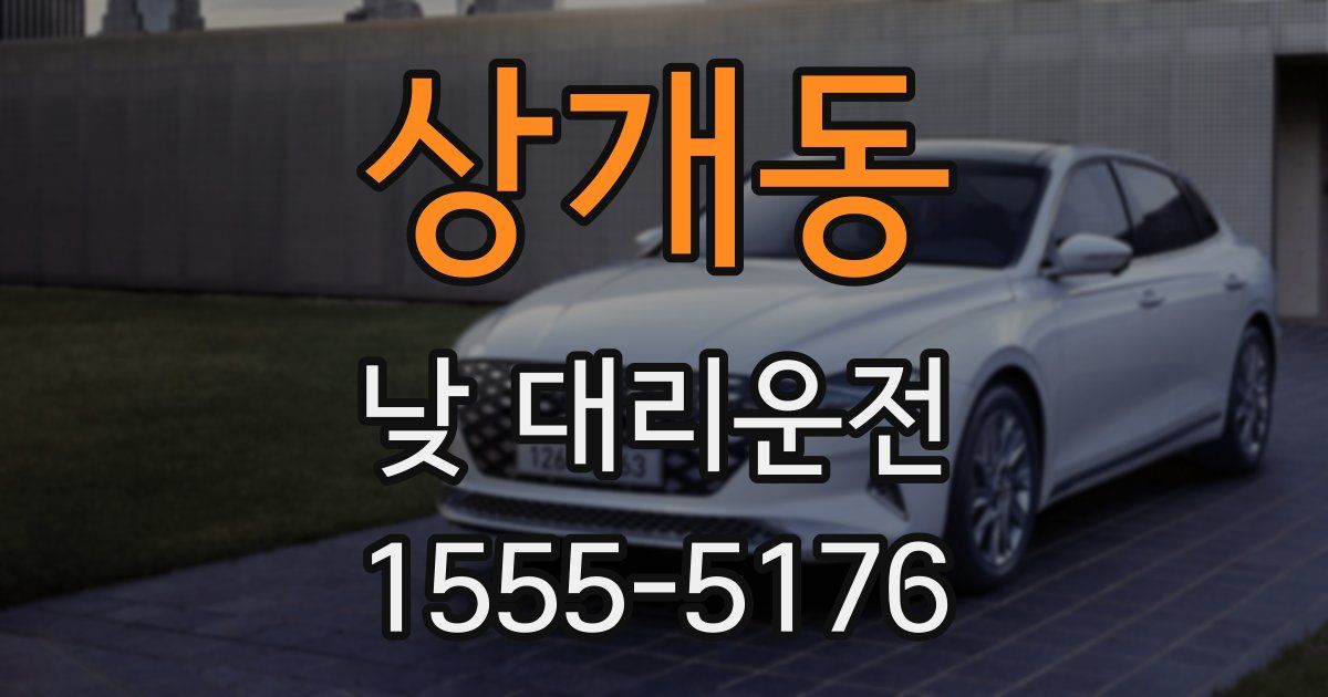 상개동 낮 대리운전