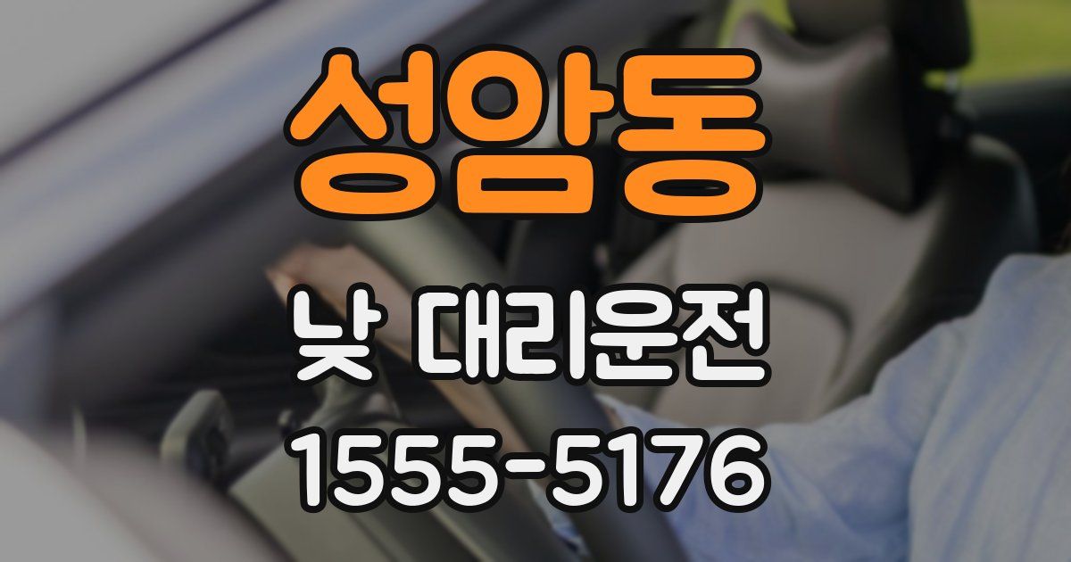 성암동 낮 대리운전