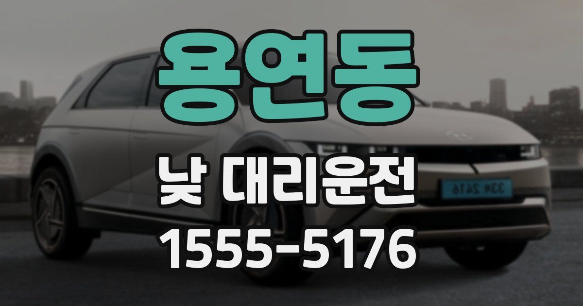 용연동 낮 대리운전