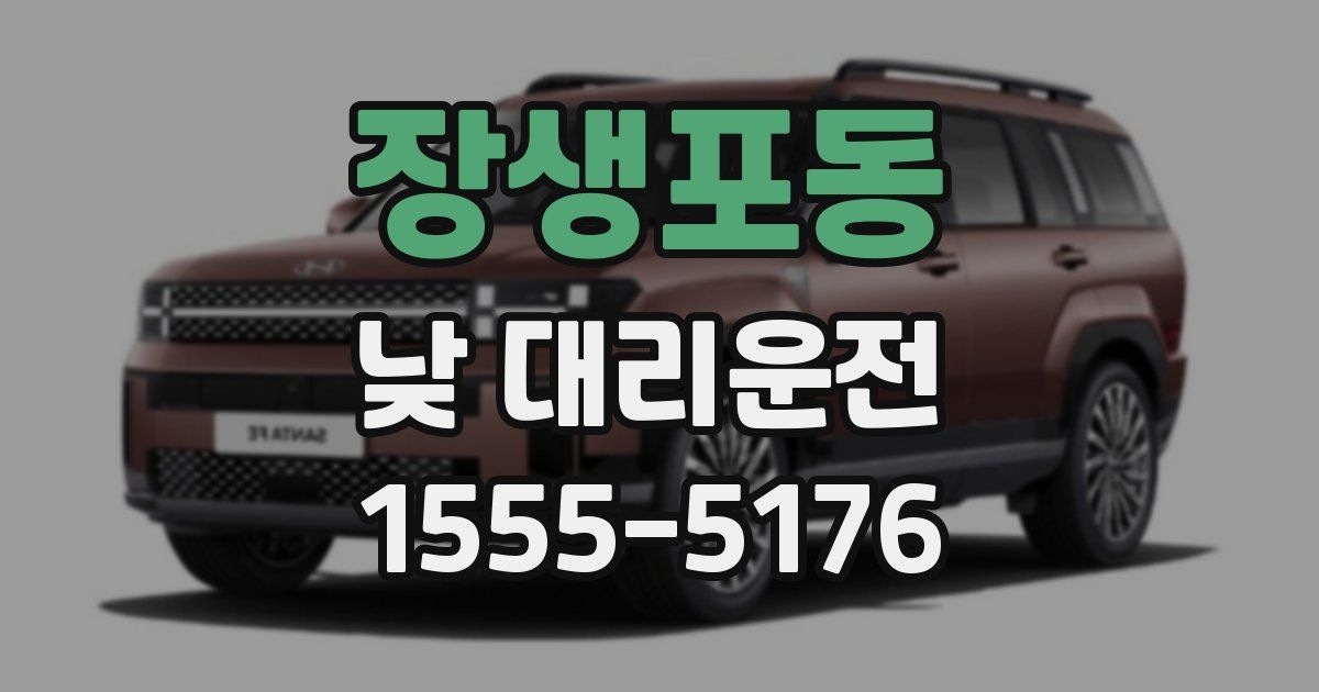 장생포동 낮 대리운전