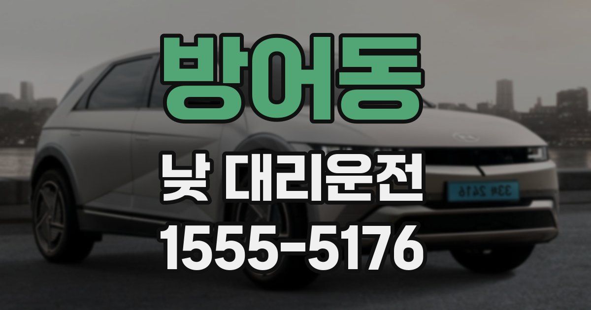 방어동 낮 대리운전