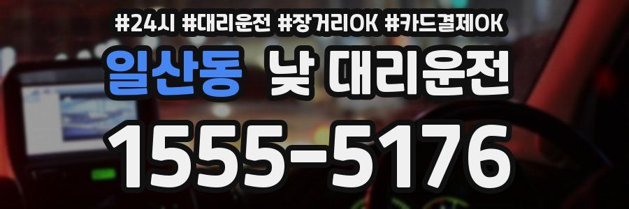 일산동 낮 대리운전
