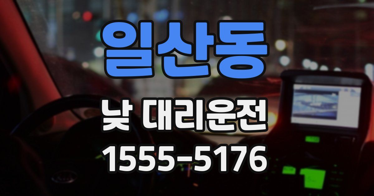 일산동 낮 대리운전
