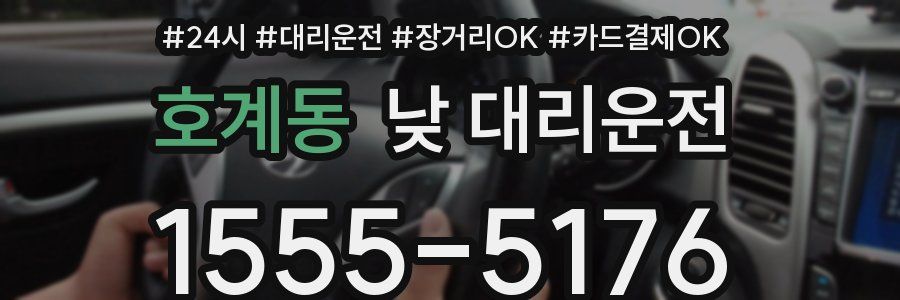 호계동 낮 대리운전