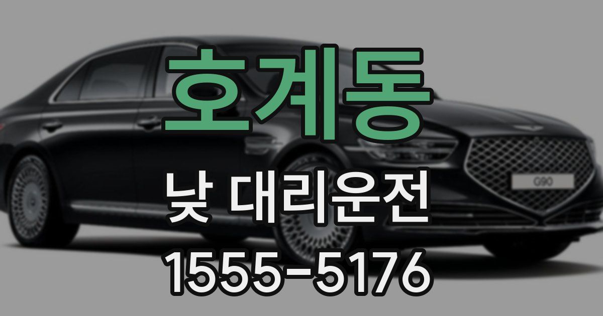 호계동 낮 대리운전