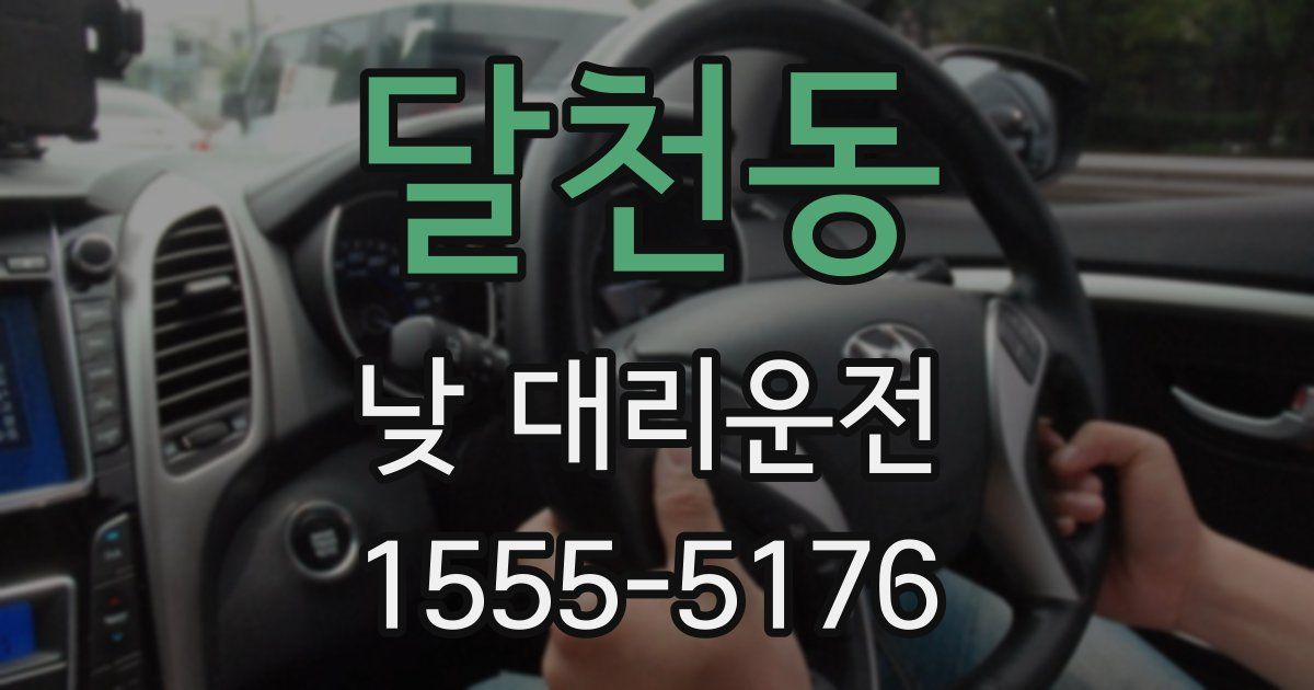 달천동 낮 대리운전