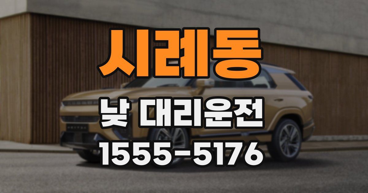 시례동 낮 대리운전