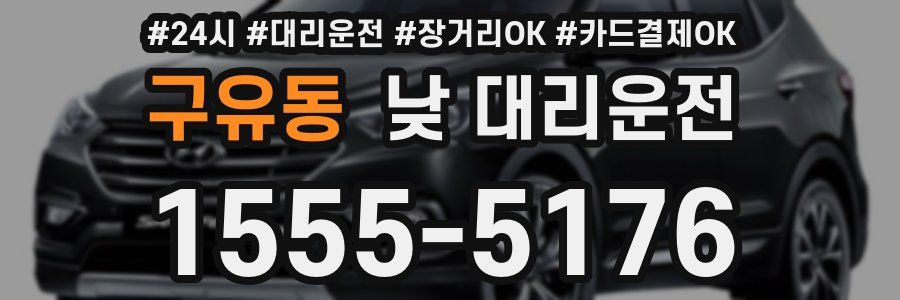 구유동 낮 대리운전
