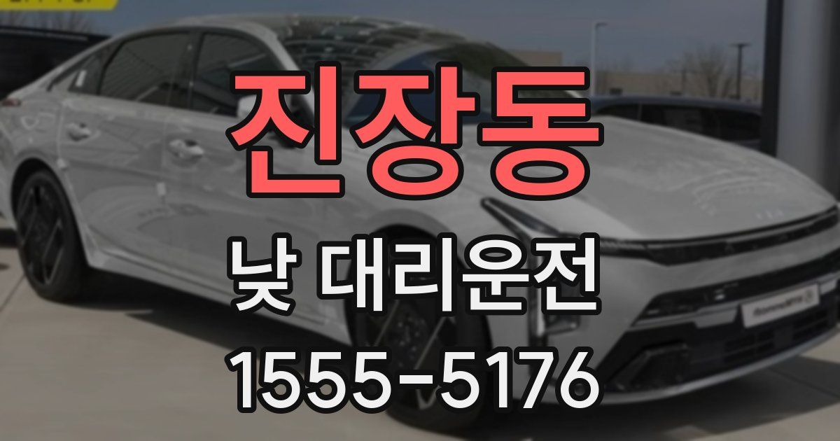 진장동 낮 대리운전