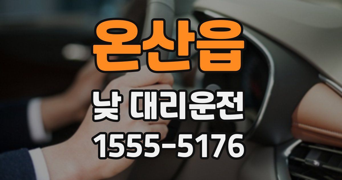 온산읍 낮 대리운전