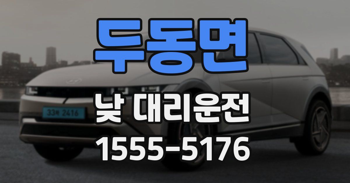 두동면 낮 대리운전
