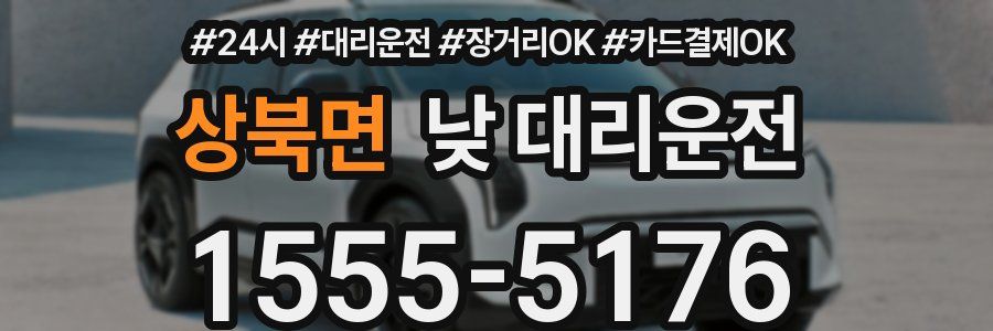 상북면 낮 대리운전
