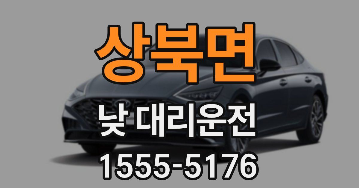 상북면 낮 대리운전