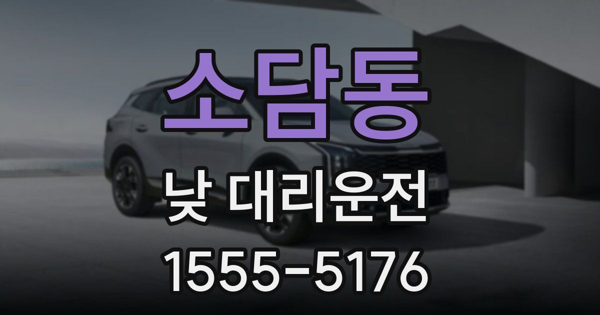 소담동 낮 대리운전
