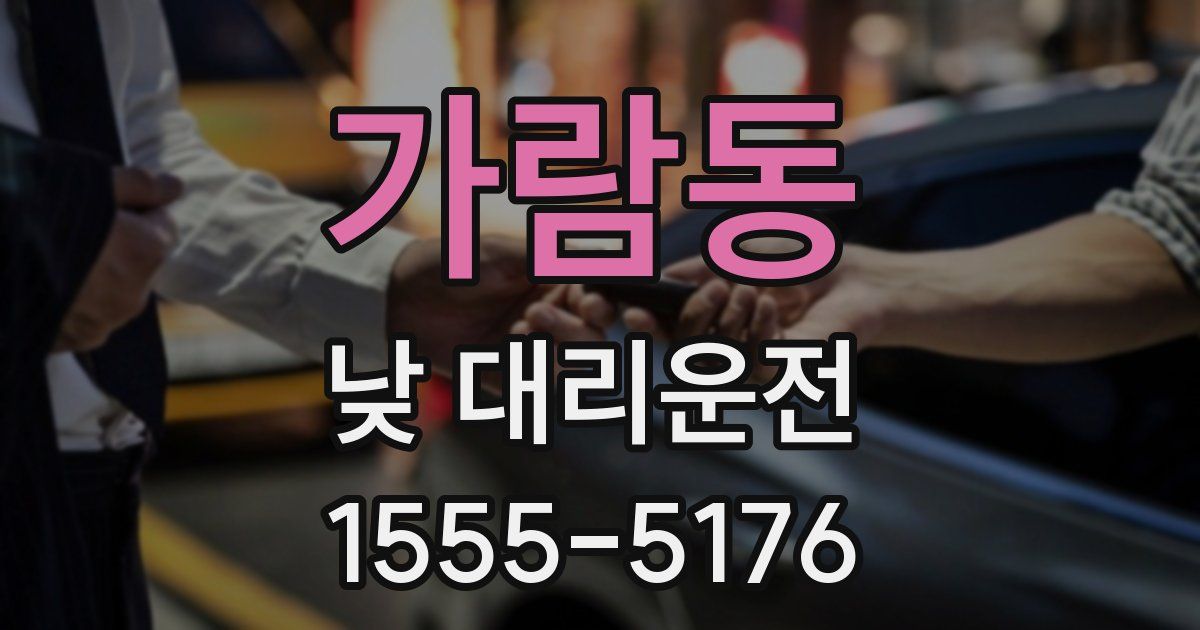가람동 낮 대리운전