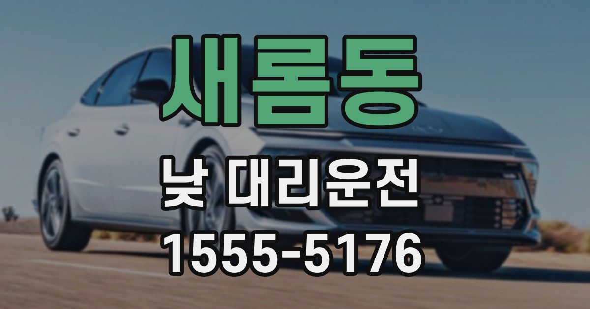 새롬동 낮 대리운전