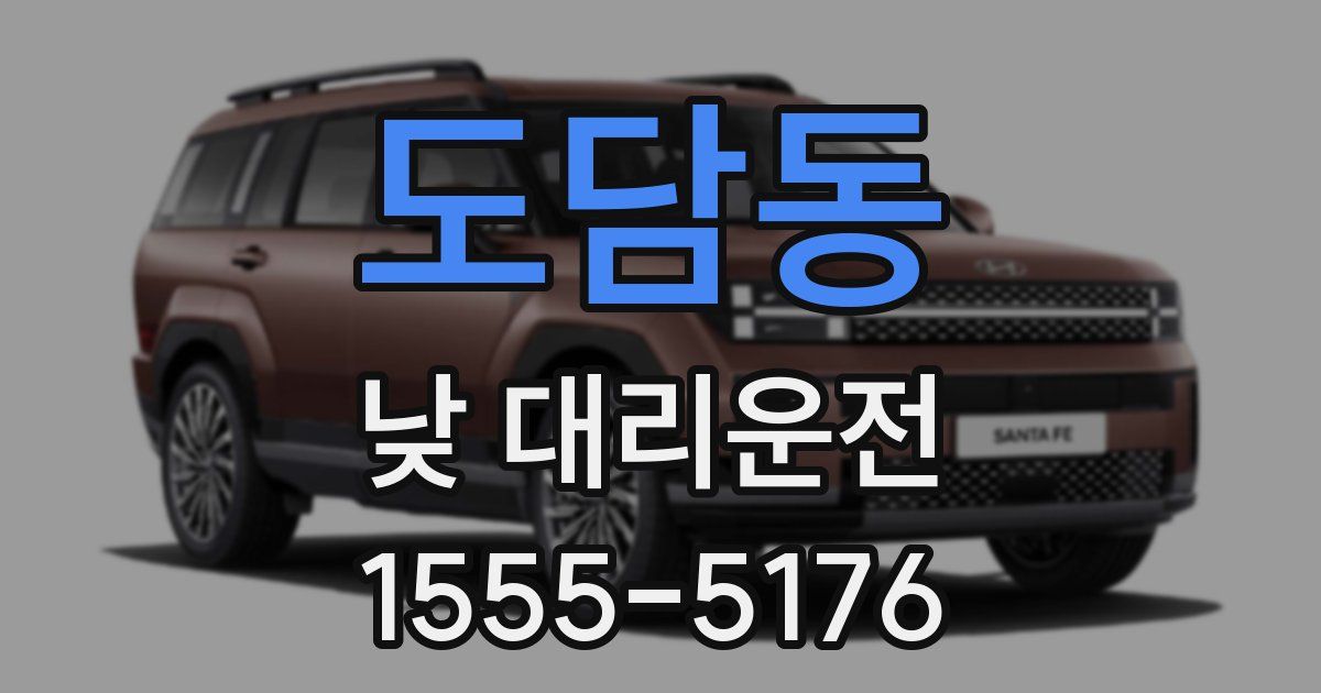 도담동 낮 대리운전
