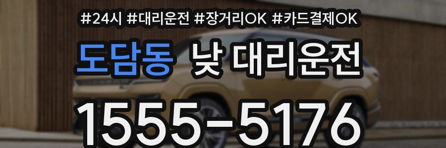 도담동 낮 대리운전