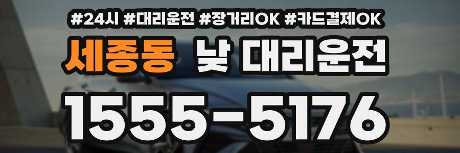 세종동 낮 대리운전