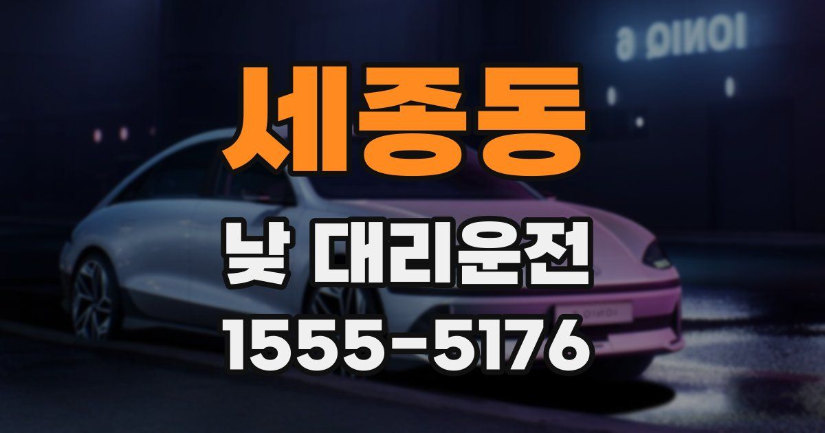 세종동 낮 대리운전